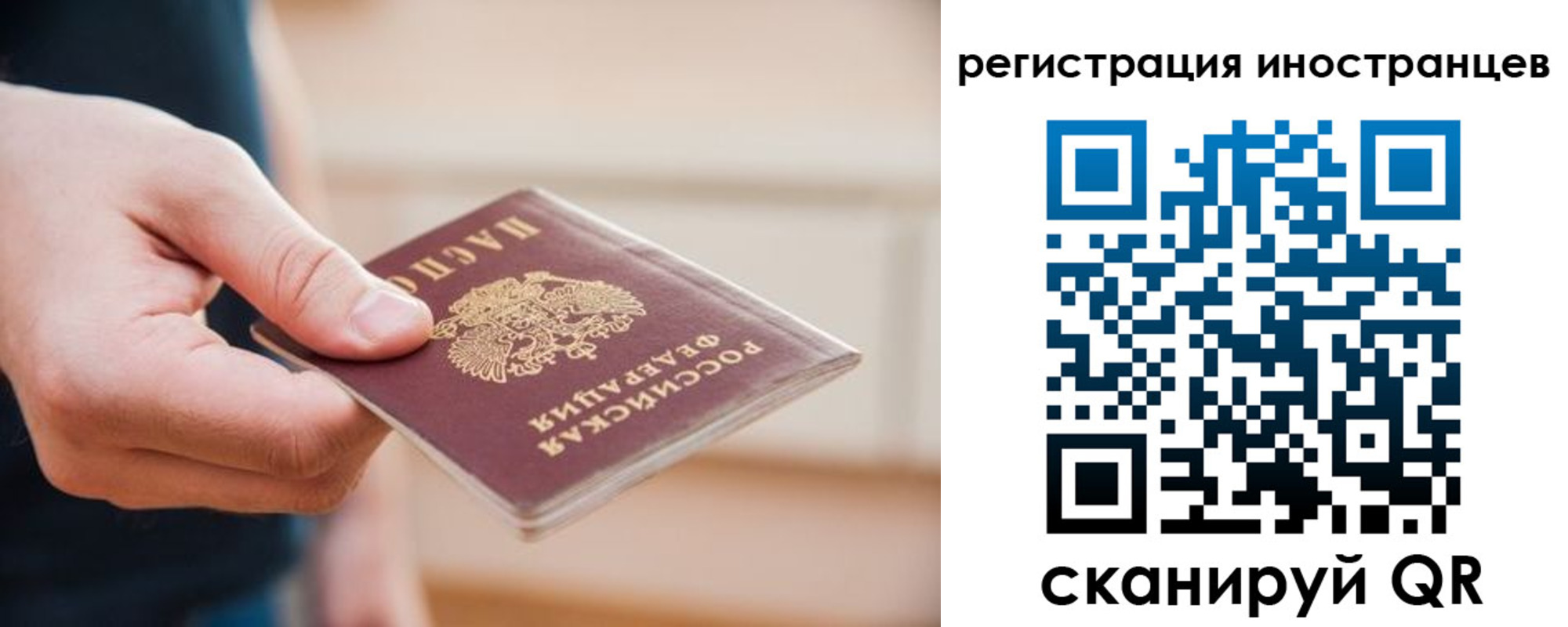прописка гарантия в Калужской области